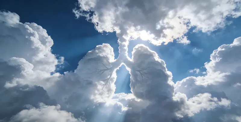 黔南肺癌靶向120基因检测（组织）图片1