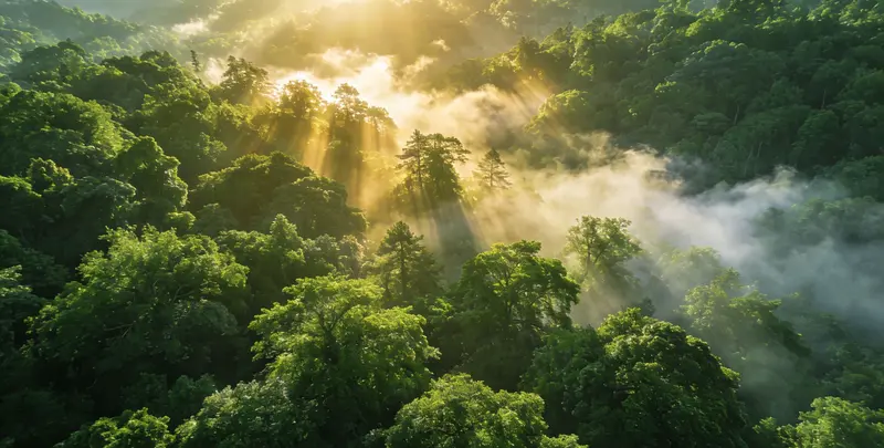 黔南肺癌12基因ctDNA突变检测(血液）图片1