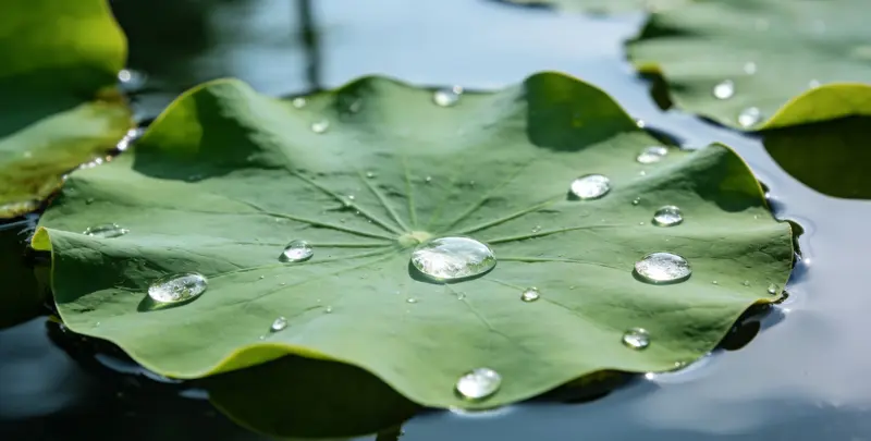 黔南乳腺癌21基因mRNA表达分析图片1