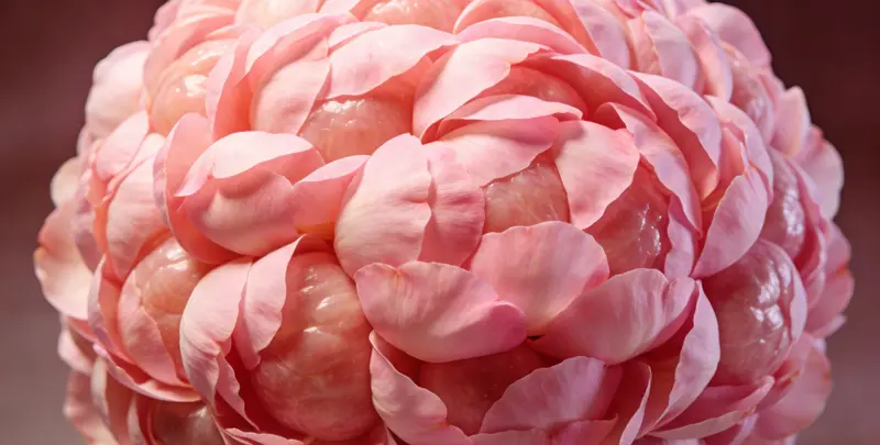 黔南BRCA1/2乳腺癌卵巢癌基因检测图片1